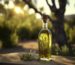 AOVE aceite de oliva virgen extra notas amargas sabor La Comunal