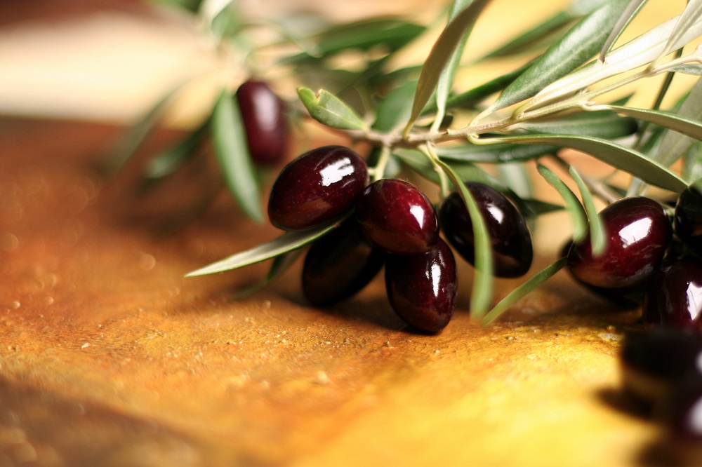 Olive Weeks #oliveweeks AOVE aceites de oliva virgen extra cornicabra matices aceite de oliva virgen extra olivar aceituna sabor La Comunal